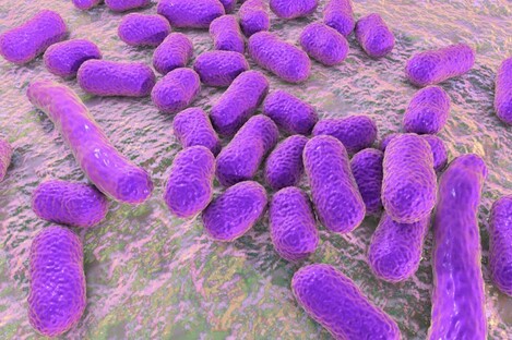 The antibiotic resistant superbug can be fatal patients who contract it. 