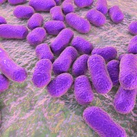 'Questions need to be asked' after outbreak of superbug at Dublin hospital