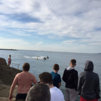 Forty Foot swimmers raise alarm after jet skis and powerboats cause havoc