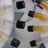 Explainer: What exactly is the drug Kerry midfielder Brendan O'Sullivan tested positive for?