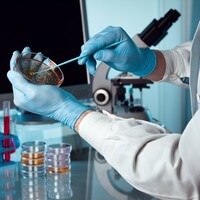 Pharmaceutical firm MSD announces 330 jobs in Carlow and Cork