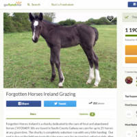 GoFundMe appeals are more popular than ever. How are established charities competing?