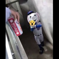 The New York Mets apologise after mascot gives fans the 'middle finger'