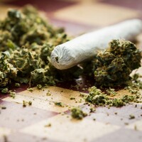 Calls for highly potent cannabis to be made Class A drug after man cuts off penis and stabs mother