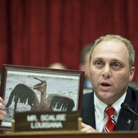 Republican congressman shot at baseball game 'remains in critical condition' tonight