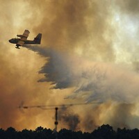 Four-year-old boy whose parents were on honeymoon among dead in Portugal fires 