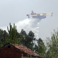 Prime Minister demands 'immediate answers' as forest fires continue to rage in Portugal