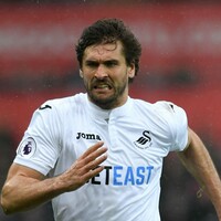Swansea star breaks arm in freak off-season accident