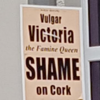 'I was disgusted': Complaints over 'Vulgar Victoria' posters placed around Cork 