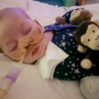 Donald Trump offers help to baby whose life support is to be switched off