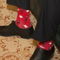 Poll: How do you feel about the wearing of novelty socks?