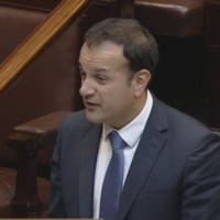Leo Varadkar tells D&Atilde;&iexcl;il Jobstown protest was like 'a scene from Lord of the Flies'