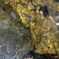 Inside the row tearing apart the firm that's spent 20 years hunting for Irish gold