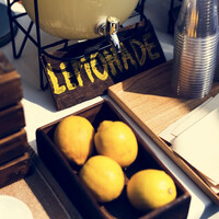 'I've done a bad thing': 5-year-old girl fined &Acirc;&pound;150 for selling lemonade outside her London home