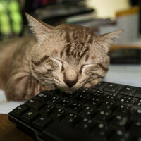 Poll: Do you spend 7 hours or more in bed each night?