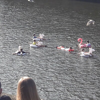 Floating down the Liffey on an inflatable is all fun and games... but it's not safe