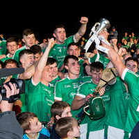 Poor Cork start denies them triple crown, massive boost for Limerick and the absence of key Rebels