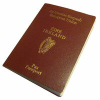 'No unnecessary journeys' - People urged to renew passports online rather than trekking to a Garda station