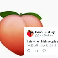 10 words Irish people should be prohibited from saying