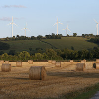 Man seriously injured after being 'crushed' by hay bale