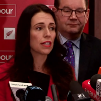 Sexism row in New Zealand after party leader is told public has right to know her parenthood plans