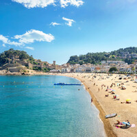 Poll: Do you use up all of your holiday days every year? 