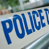 83-year-old man stabbed to death while walking his dogs 