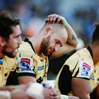 A Western Force no more as Aussie side dumped from Super Rugby