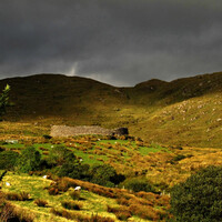 'I won't defend Danny Healy-Rae's politics but I will defend personal belief in fairies'