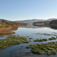 My Favourite Drive: David Roome joins a fleet of Jaguars headed to Blessington Lakes