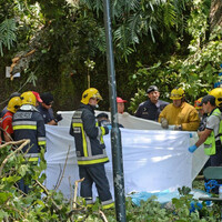 Three days of mourning in Madeira after falling tree kills 13 people