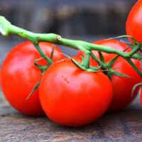 Gardening: Grow your own tomatoes - from seed to sauce
