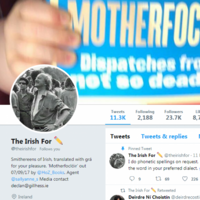 'Irish is a dead language? Judging by your punctuation, English isn't far off either'