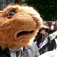 Poll: Are you less likely to buy products that are tested on animals?