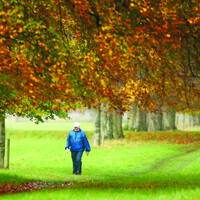 Poll: How many minutes a day do you walk?