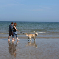 Swimming ban extended at Loughshinny due to 'unacceptable levels of contamination' 