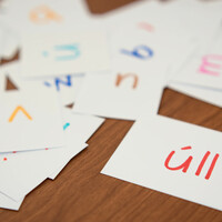 Poll: Is it important to you that your kids learn Irish?