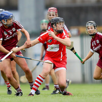 'She's been a stalwart of Cork camogie over the years. She's certainly a huge loss for us'