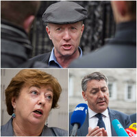 'I wouldn't dare say don't take the vaccine': TDs on why they've asked questions about HPV in D&Atilde;&iexcl;il