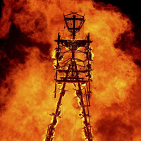 Man dies after running into Burning Man festival flames 