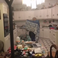 Rogue bat flies into Kerry home, causes ructions, gets caught on video