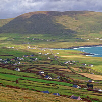 Why has a Kerry Gaeltacht's population been dramatically declining?