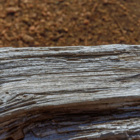 Gardening: Autumn is coming - grab some salvaged timber and get to work on your 'raised beds'