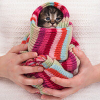 Poll: It's autumn - have you turned the heating on yet? 