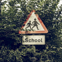 Garda&Atilde;&shy; called after motorist verbally abused school traffic warden