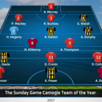 Do you agree with The Sunday Game's camogie Team of the Year?