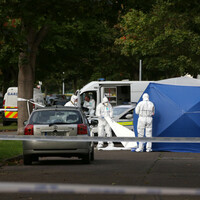 Two guns found by garda&Atilde;&shy; investigating west Dublin gangland killing 