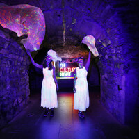 Here are some of the weirdest things you can do on Culture Night