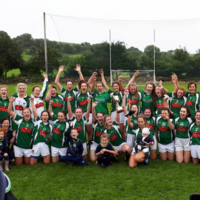 Start the day right! Gerald Griffins crowned Limerick champions in 9am final