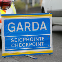 Poll: Would taking disciplinary action against garda&Atilde;&shy; over fake breath tests be 'a waste of time'?